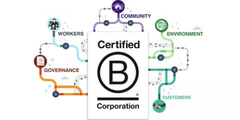 Building A B Corp Movement In Ireland - SocEnt.ie