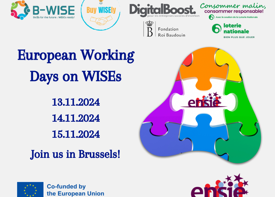 Join the European Working Days on WISEs!